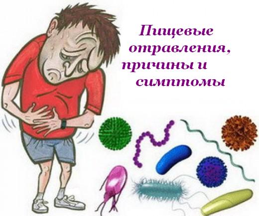 Пищевое отравление Пищевое отравление